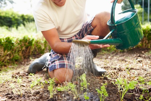 Choosing a certified tree service provider