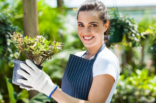 Benefits of professional tree services