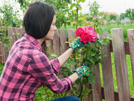 Seasonal maintenance tips for Richmond landscapes