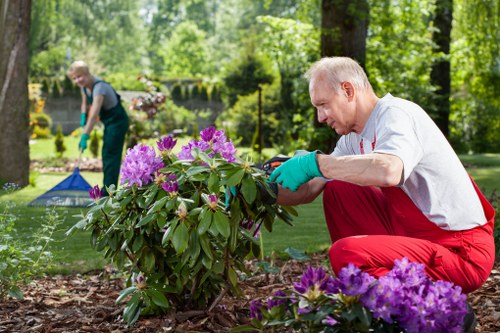 Richmond garden reflecting local climate