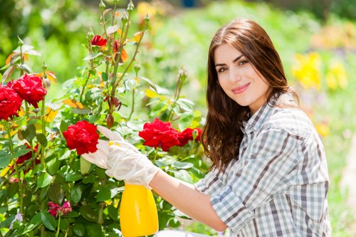 Healthy and well-maintained Richmond garden post-clearance