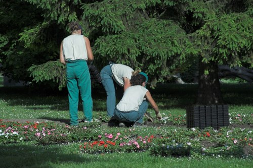 Efficient irrigation system in a Richmond garden