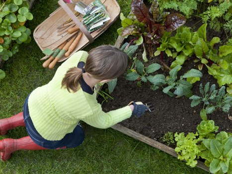 Eco-friendly hedge trimming practices in Richmond