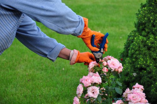 Garden landscaper trimming hedges with specialized tools