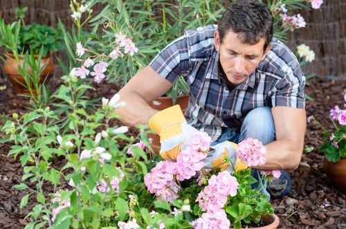 Cohesive landscape design with balanced elements
