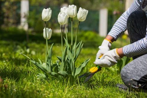Professional pressure washing a residential driveway in Richmond
